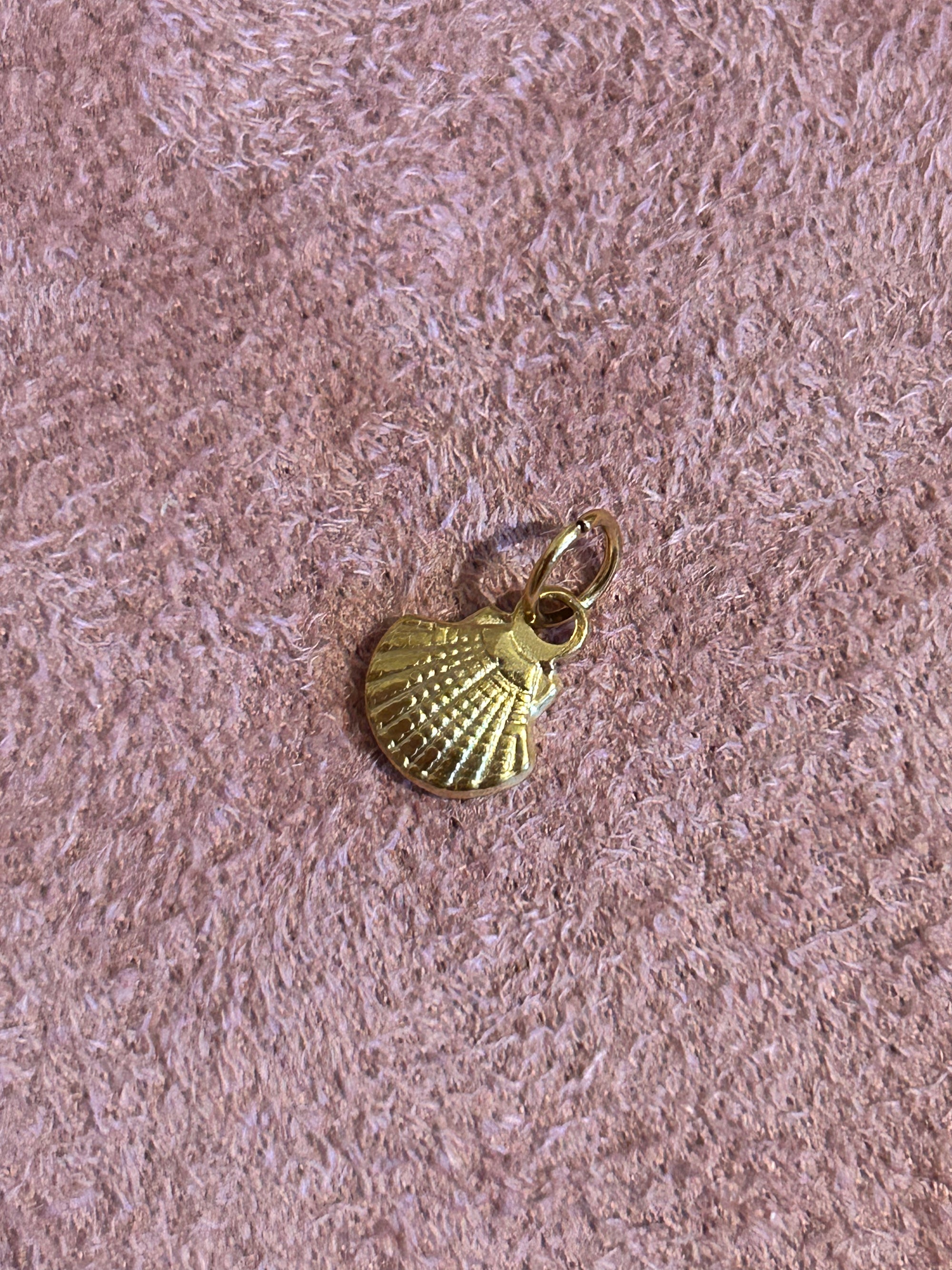 Charms Coquille